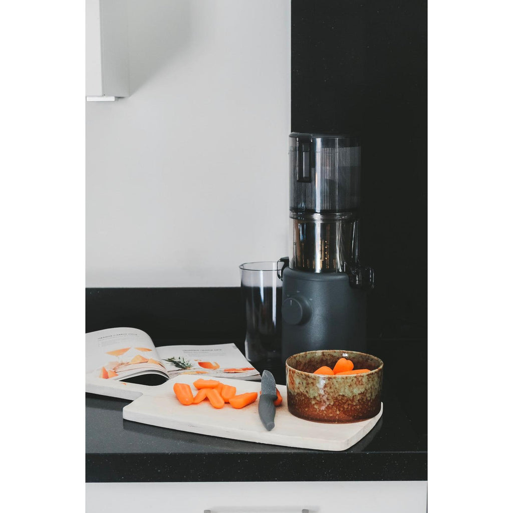 Mini Slow Juice Extractor - H310A Series - Anthracite