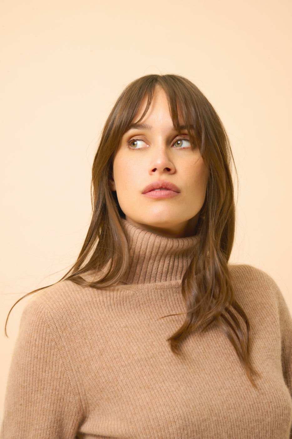 Turtleneck Sweater - Billy - Heather Camel