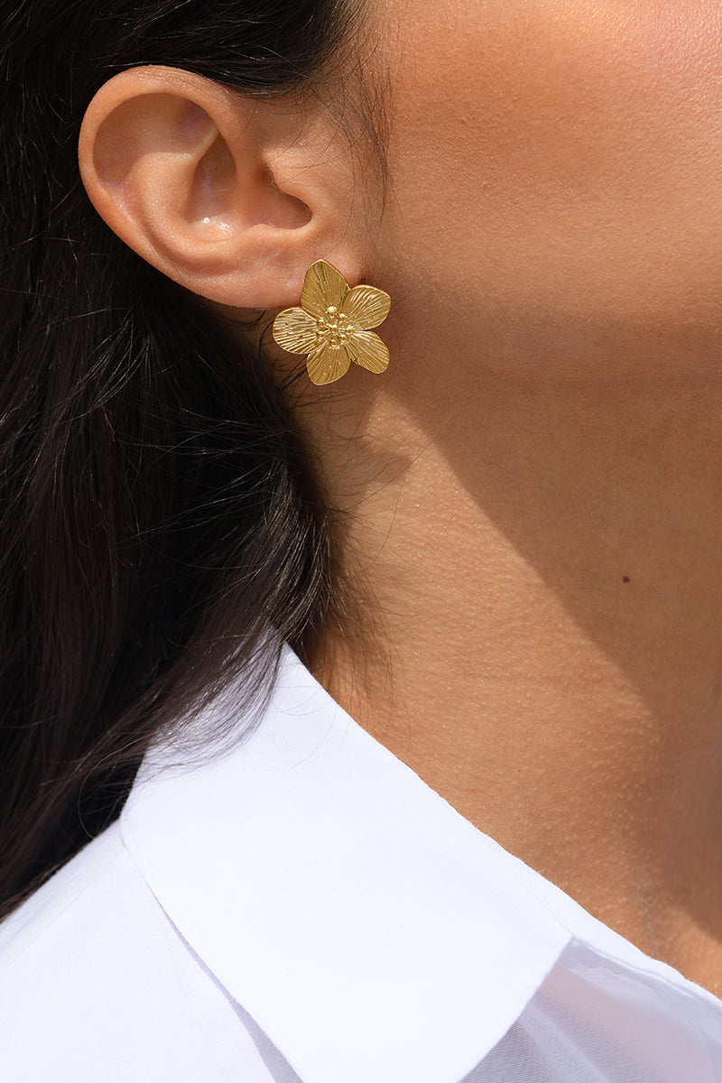 Boucles D'Oreilles "Leopoldine" Acier Inoxydable