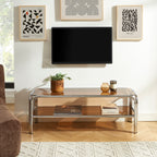 Maggy - Television Unit - Dark Orange with Chrome Frame