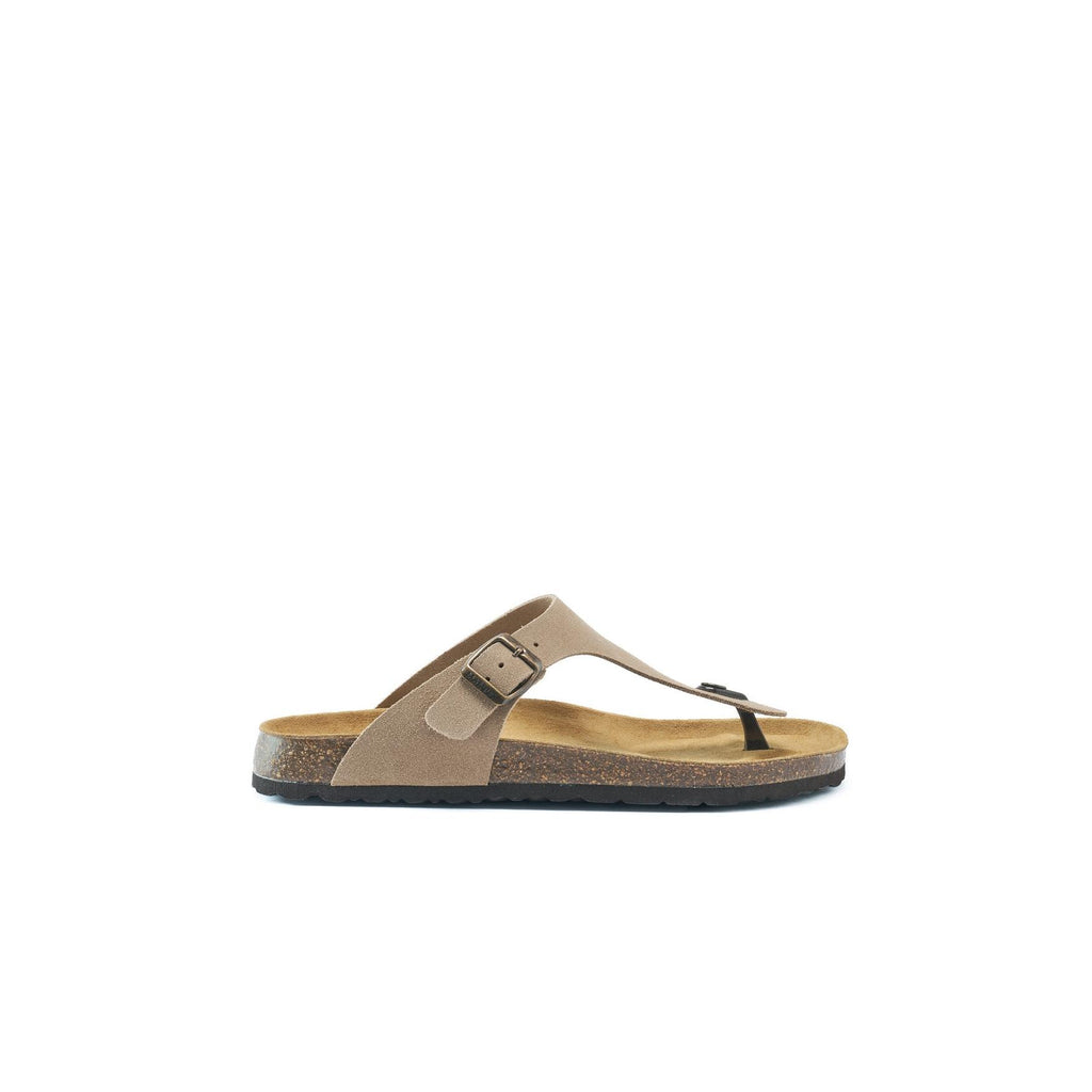 Flip-flops David - Taupe - Herr