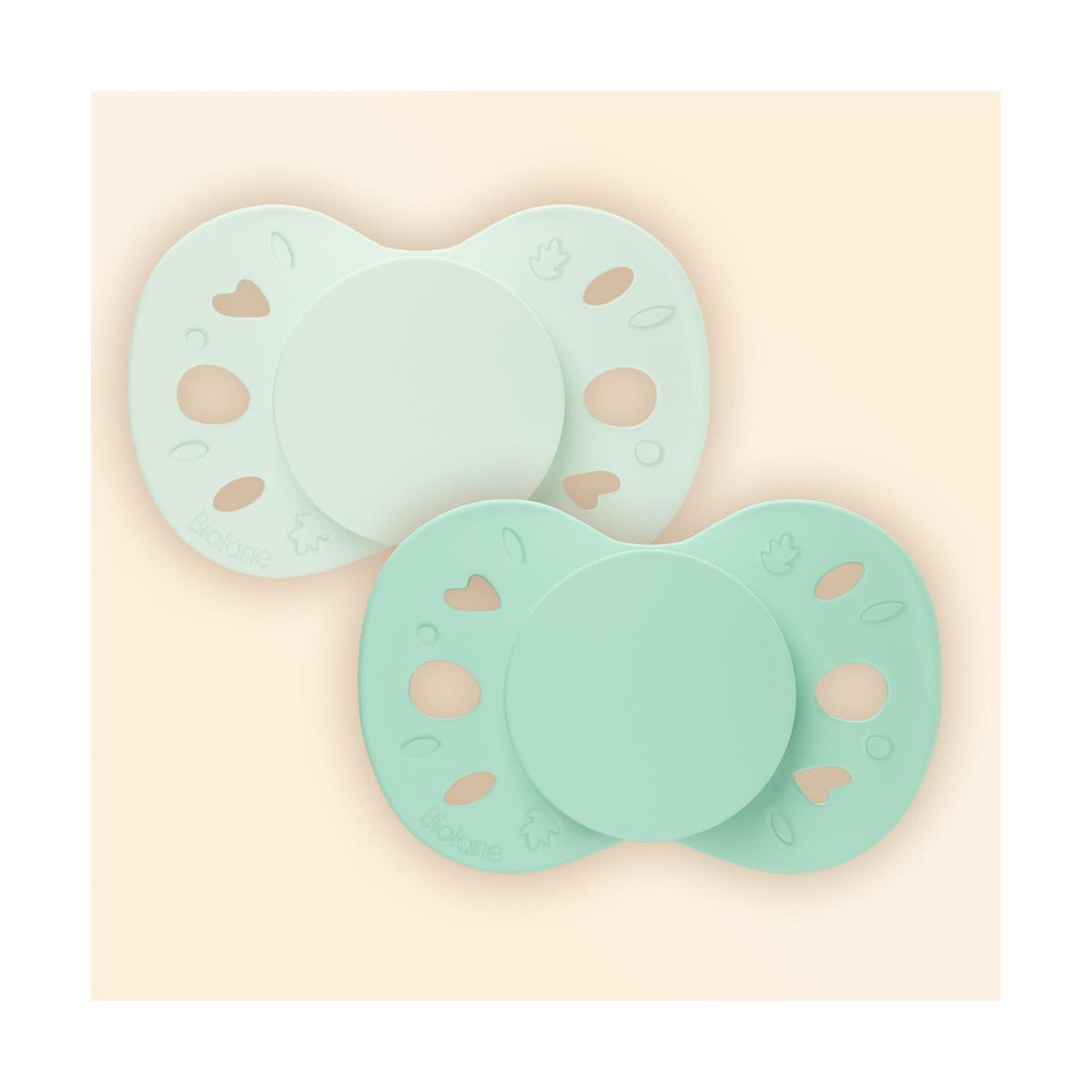 Set Di 2 Ciucci Anatomici