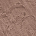 Nube - Tapis D'Intérieur - Polyester - Taupe