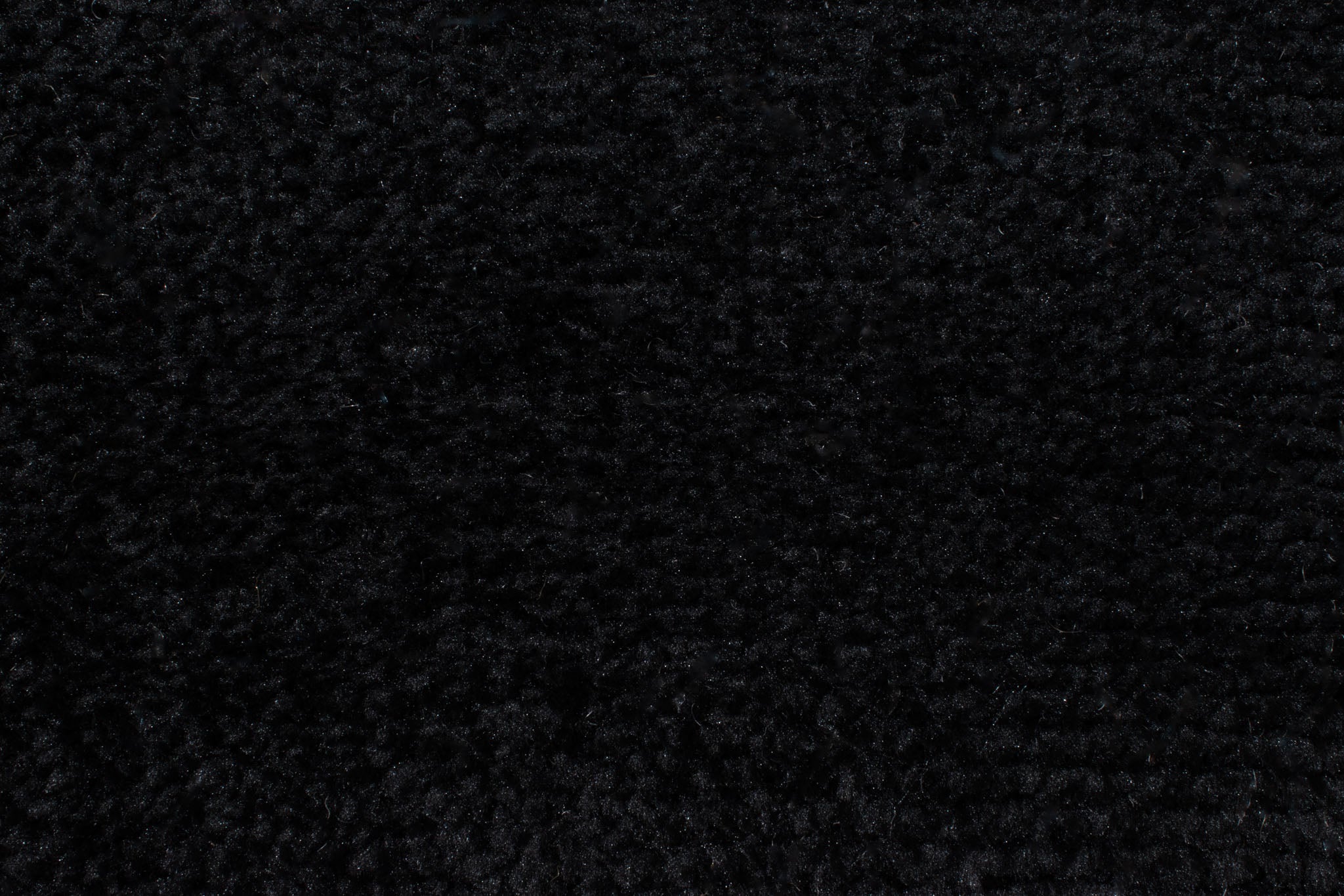 Natural rug with black relief pattern: PAL9489NOI PALMA
