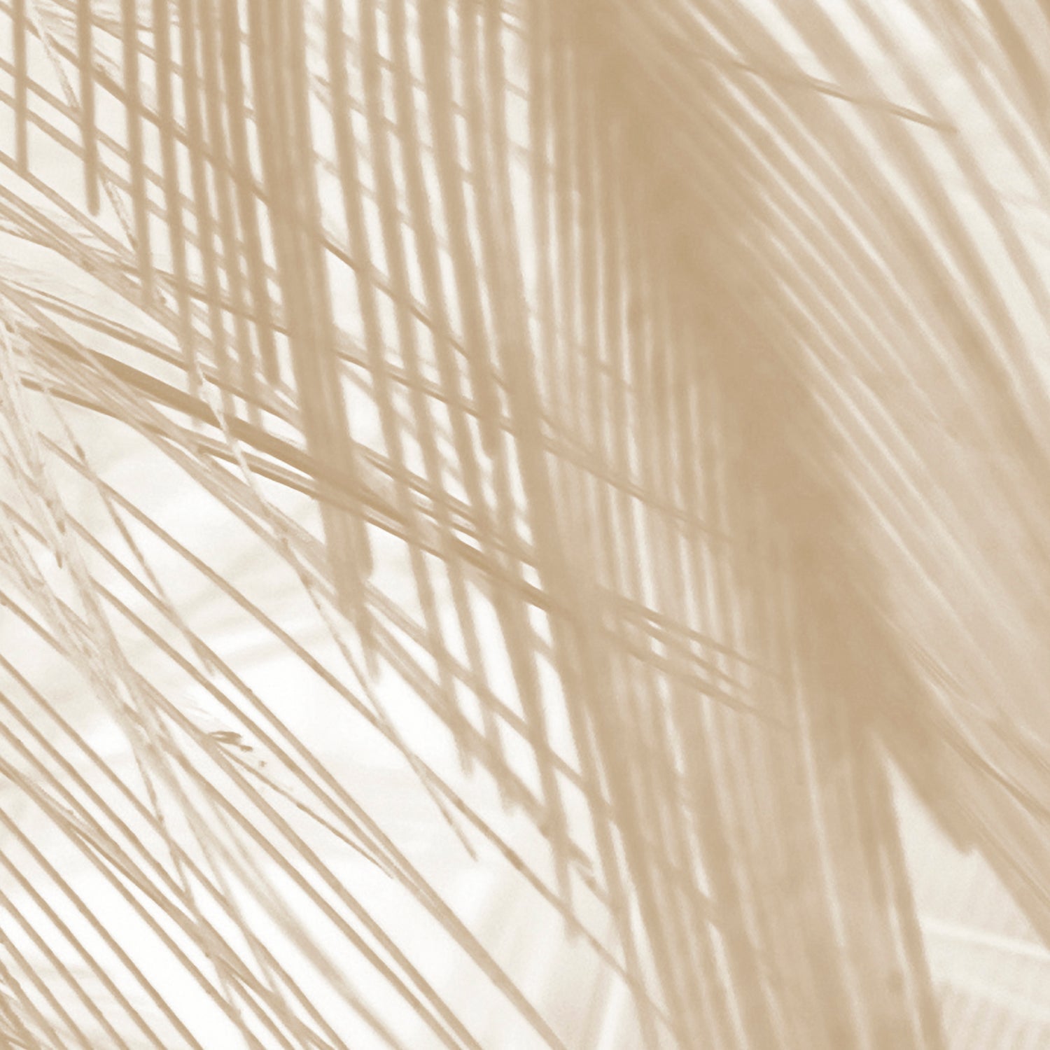 Papier Peint Panoramique - Soft - Beige