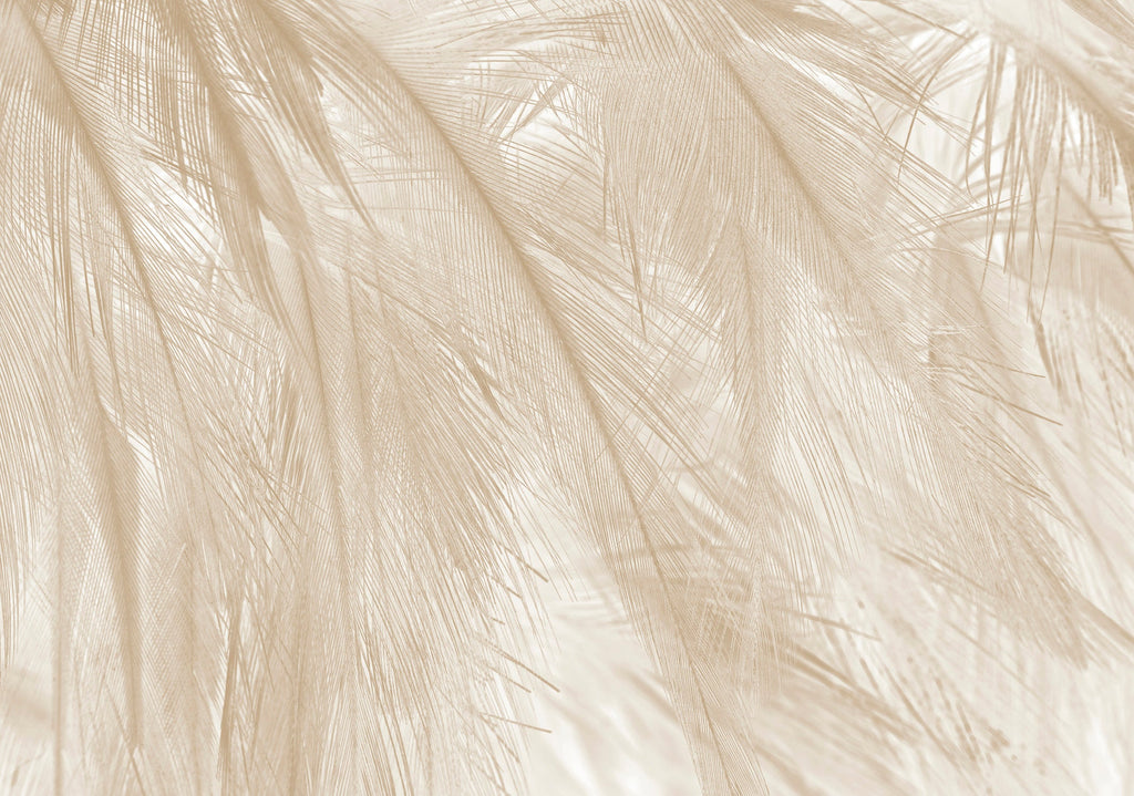 Papier Peint Panoramique - Soft - Beige
