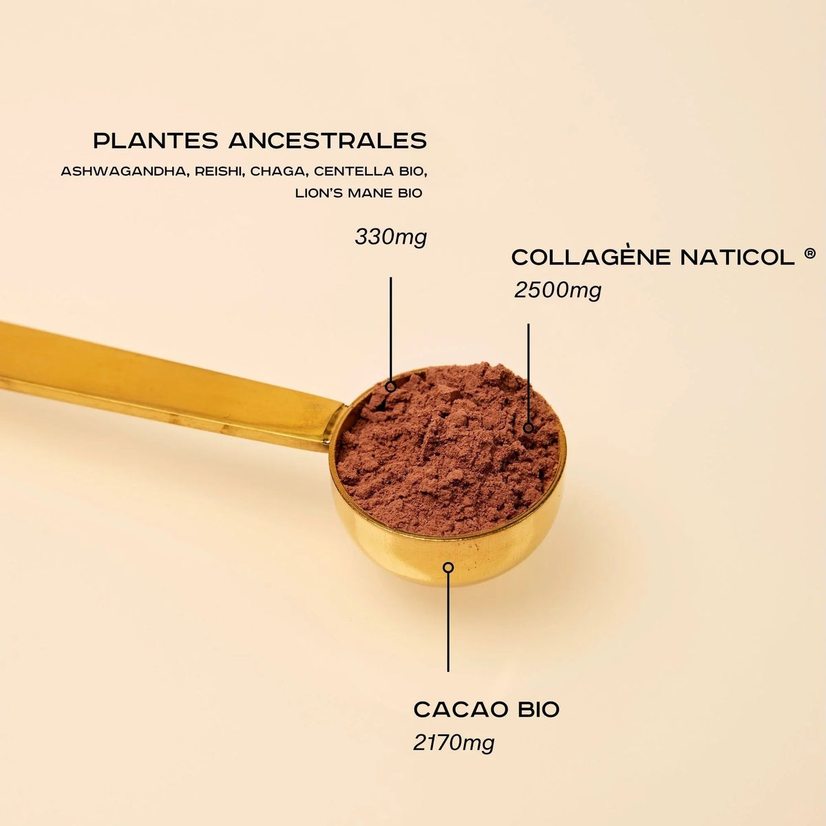 Boisson Collagène Cacao+