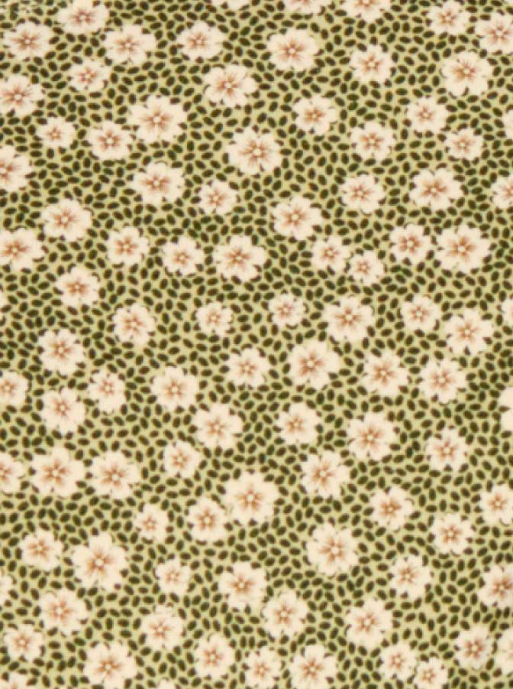 Knotted Tanga Swim Blooming Green Green