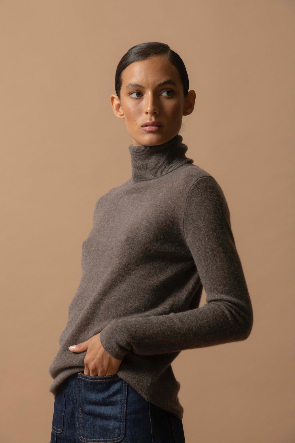 Pull Col Roulé Ashley - Taupe Chiné