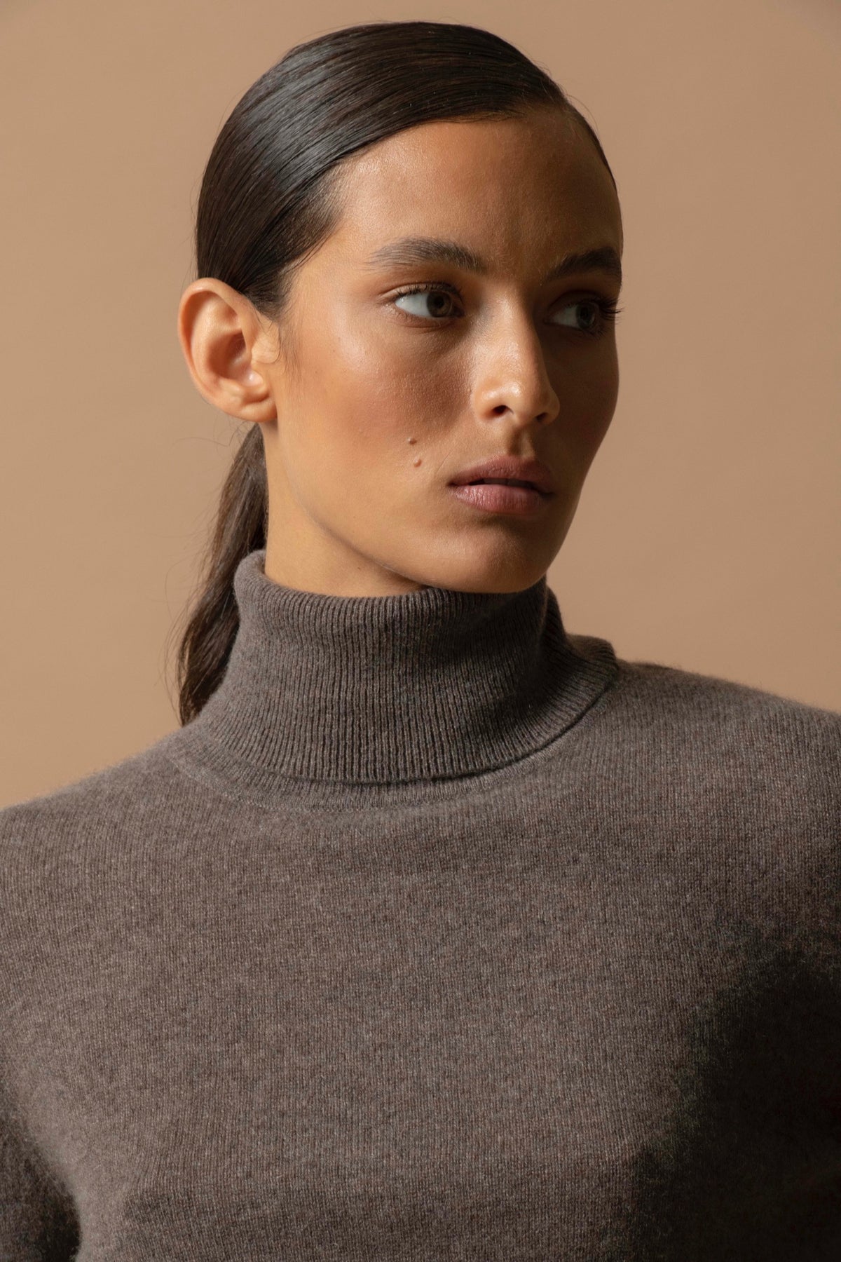 Pull Col Roulé Ashley - Taupe Chiné