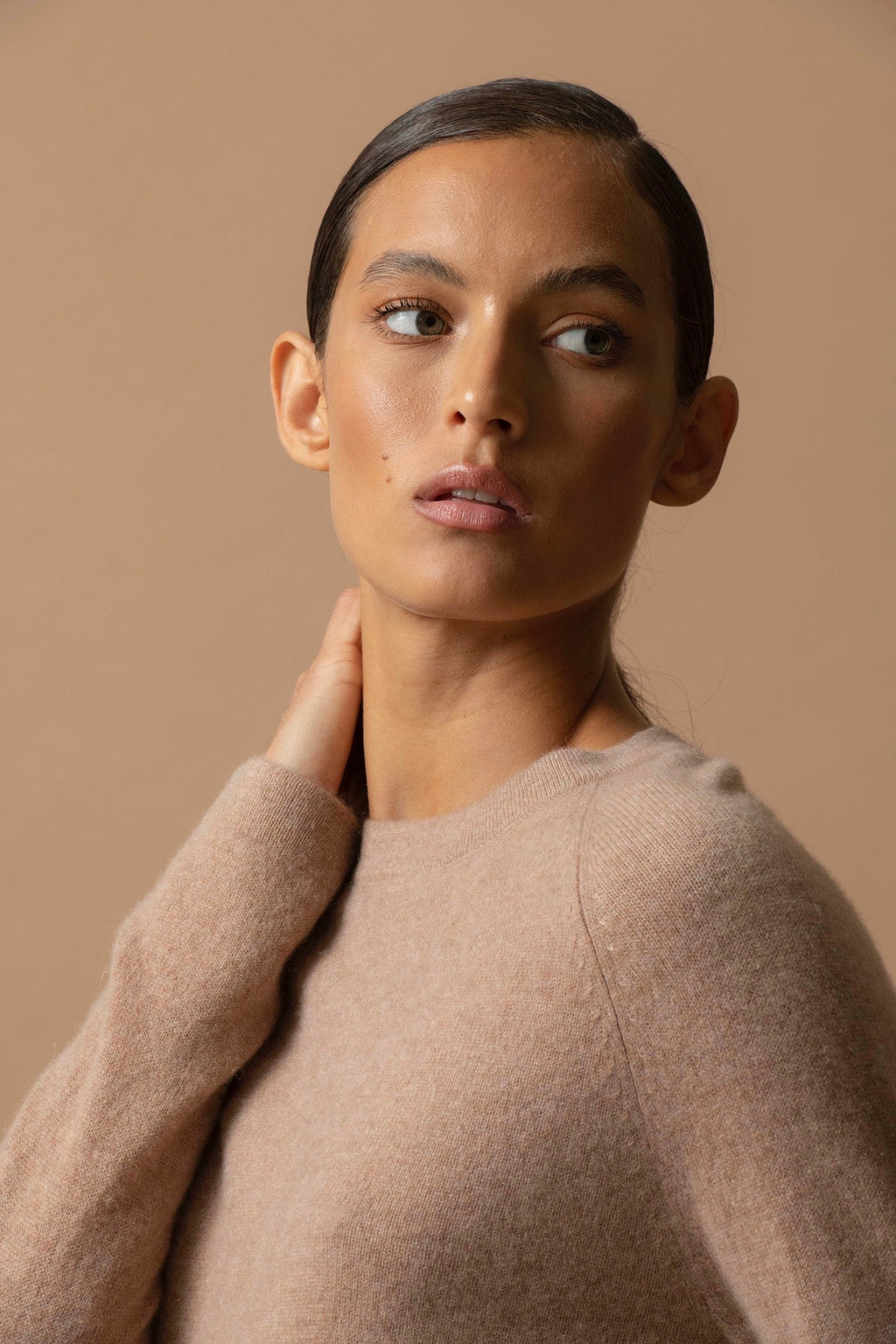Round Neck Jumper - Whitney - Camel Marl