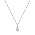 Pendant "the White Messenger" 375/1000 White Gold and Zirconium