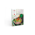 Paint By Number Box - Small Brush - Red Fish, Henri Matisse