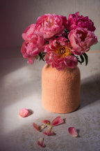 Pottery-vaashoes - Blush
