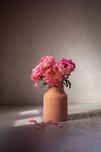 Pottery-vaashoes - Blush