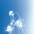 Open Up - 6 Copas De Vino Universales - 40 cl - Chef&Sommelier