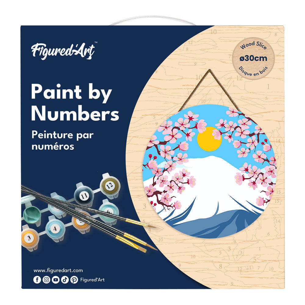 Paint By Number On Wooden Disc - Mount Fuji