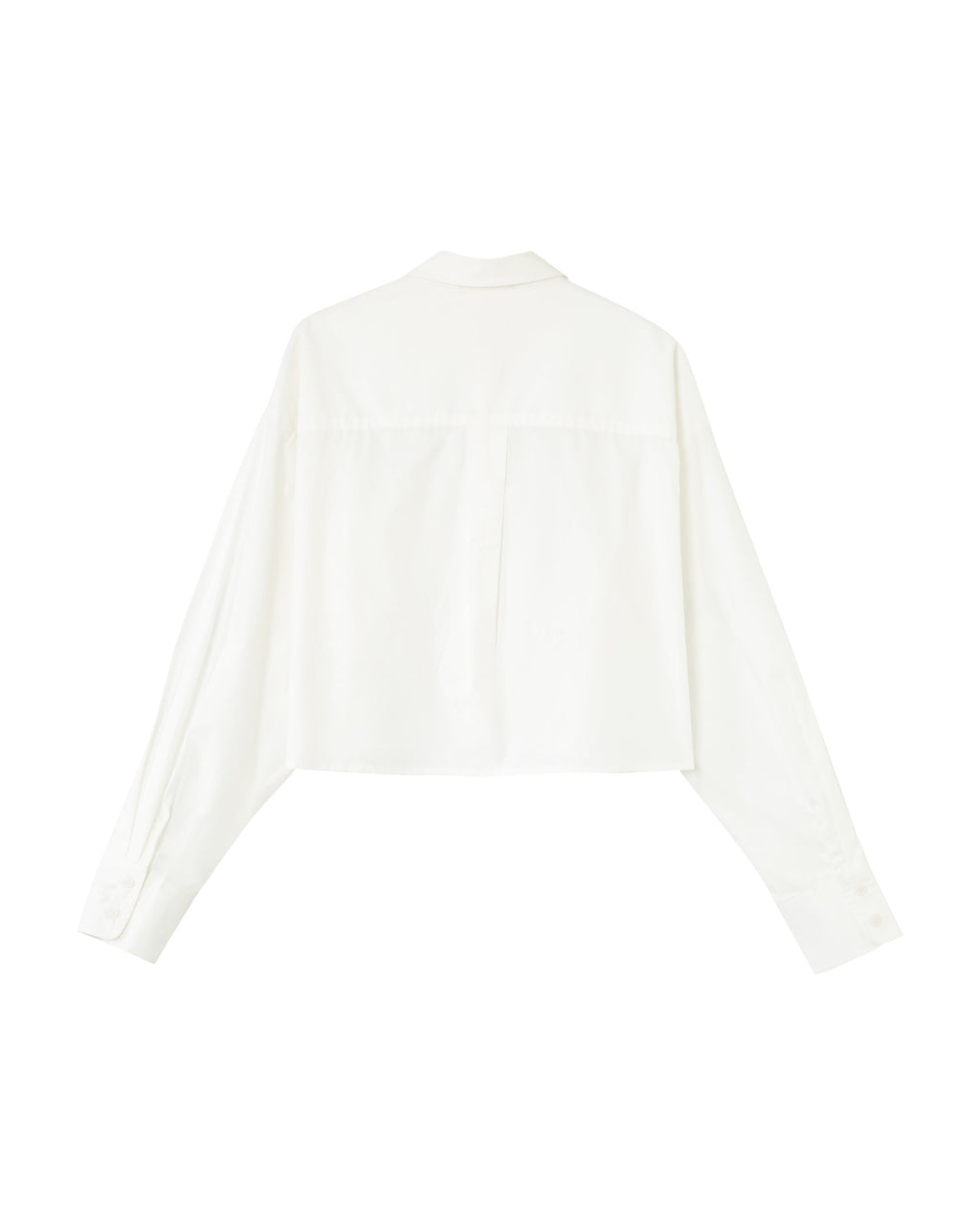 Camisa Roxane - Crudo