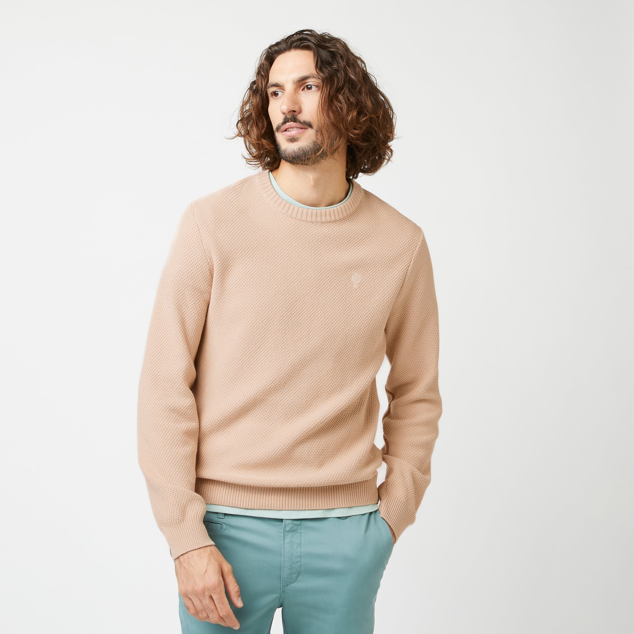 Opale Dark Beige Jumper - Men