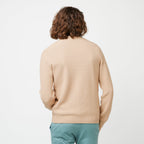 Opale Dark Beige Jumper - Men