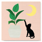 Mini pintura por números 20x20 cm con marco Gatito y planta a la luz de la luna