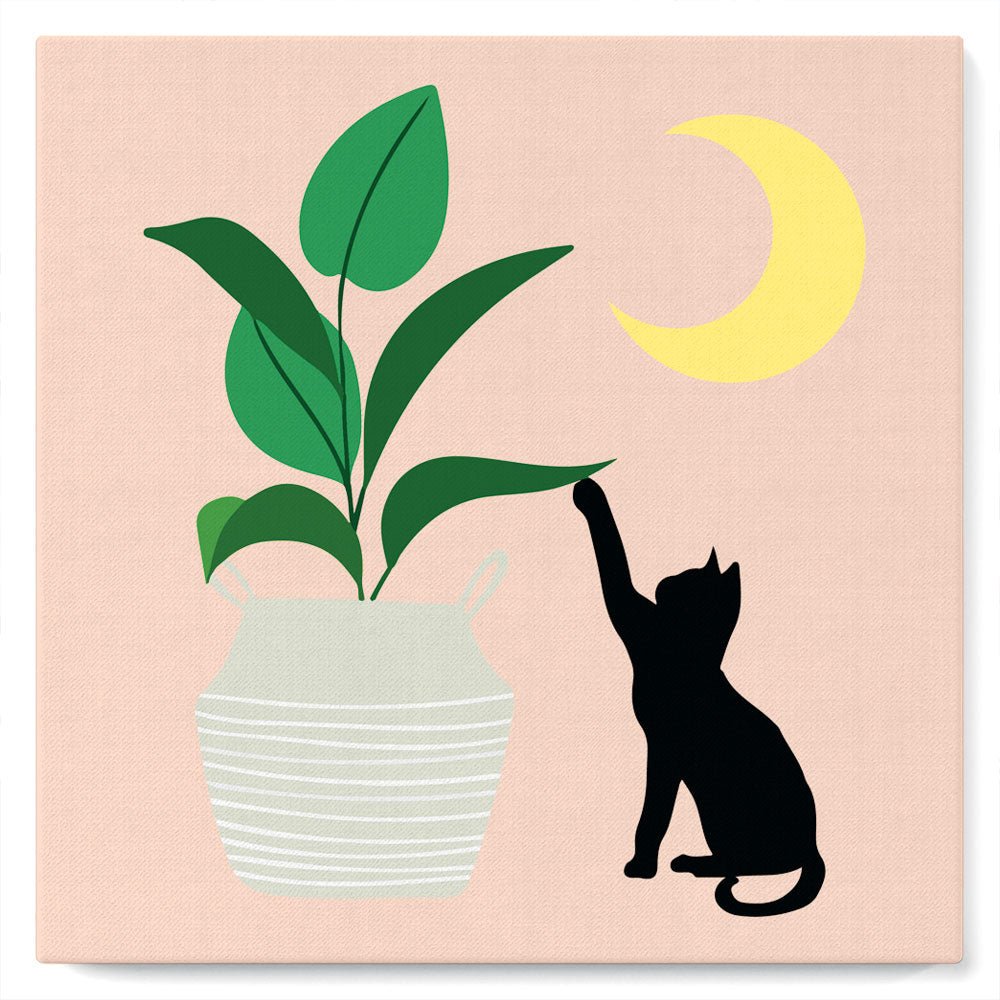 Mini pintura por números 20x20 cm con marco Gatito y planta a la luz de la luna