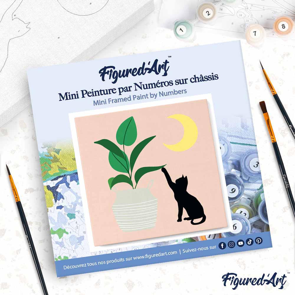 Mini pintura por números 20x20 cm con marco Gatito y planta a la luz de la luna