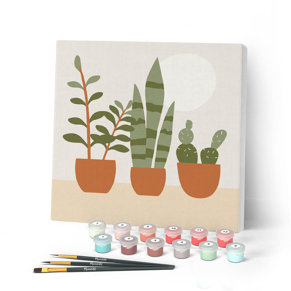Mini pintura por números 20x20cm con marco de plantas suculentas