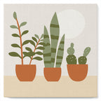 Mini pintura por números 20x20cm con marco de plantas suculentas