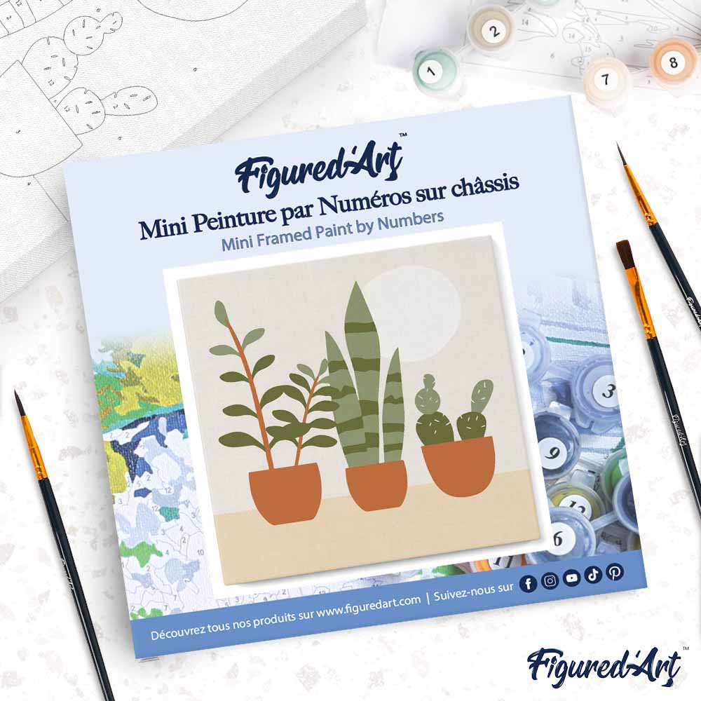 Mini pintura por números 20x20cm con marco de plantas suculentas