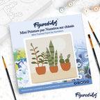 Mini pintura por números 20x20cm con marco de plantas suculentas