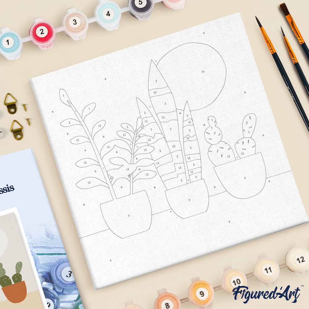 Mini pintura por números 20x20cm con marco de plantas suculentas