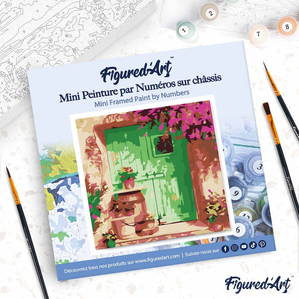 Mini Paint By Numbers 20X20Cm With Frame Flowered Entrance