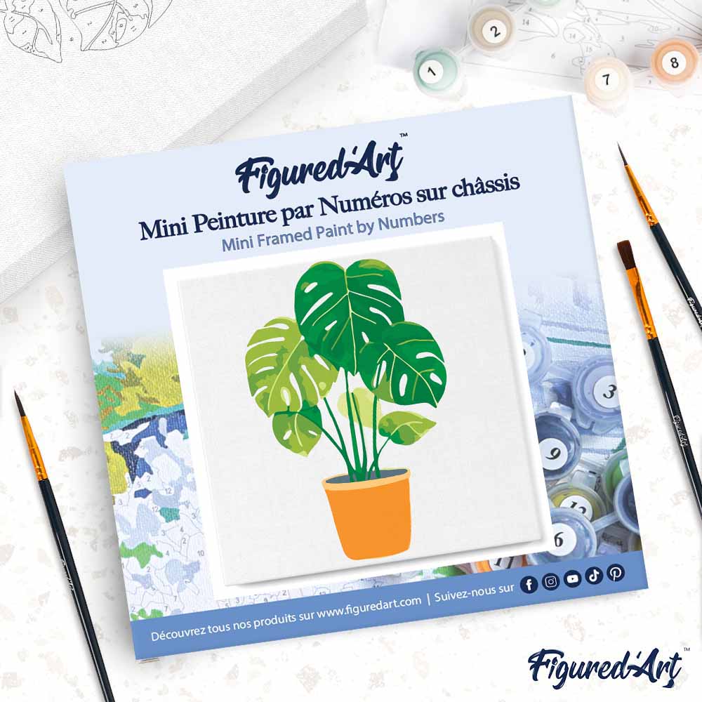 Mini Paint By Numbers 20X20Cm With Green Plant Frame
