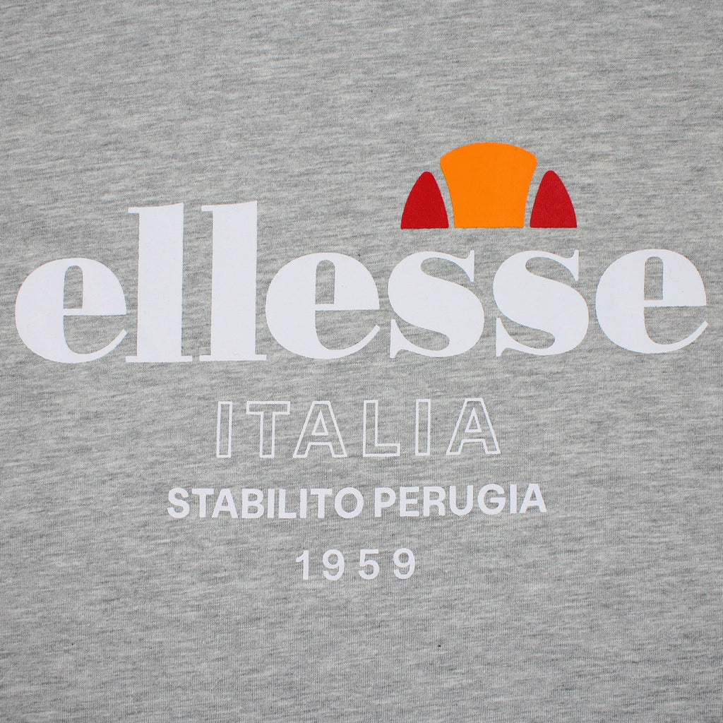 Ellesse Men's Short Sleeve T-Shirt - Gray