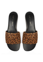 Mules Borneo - Lion