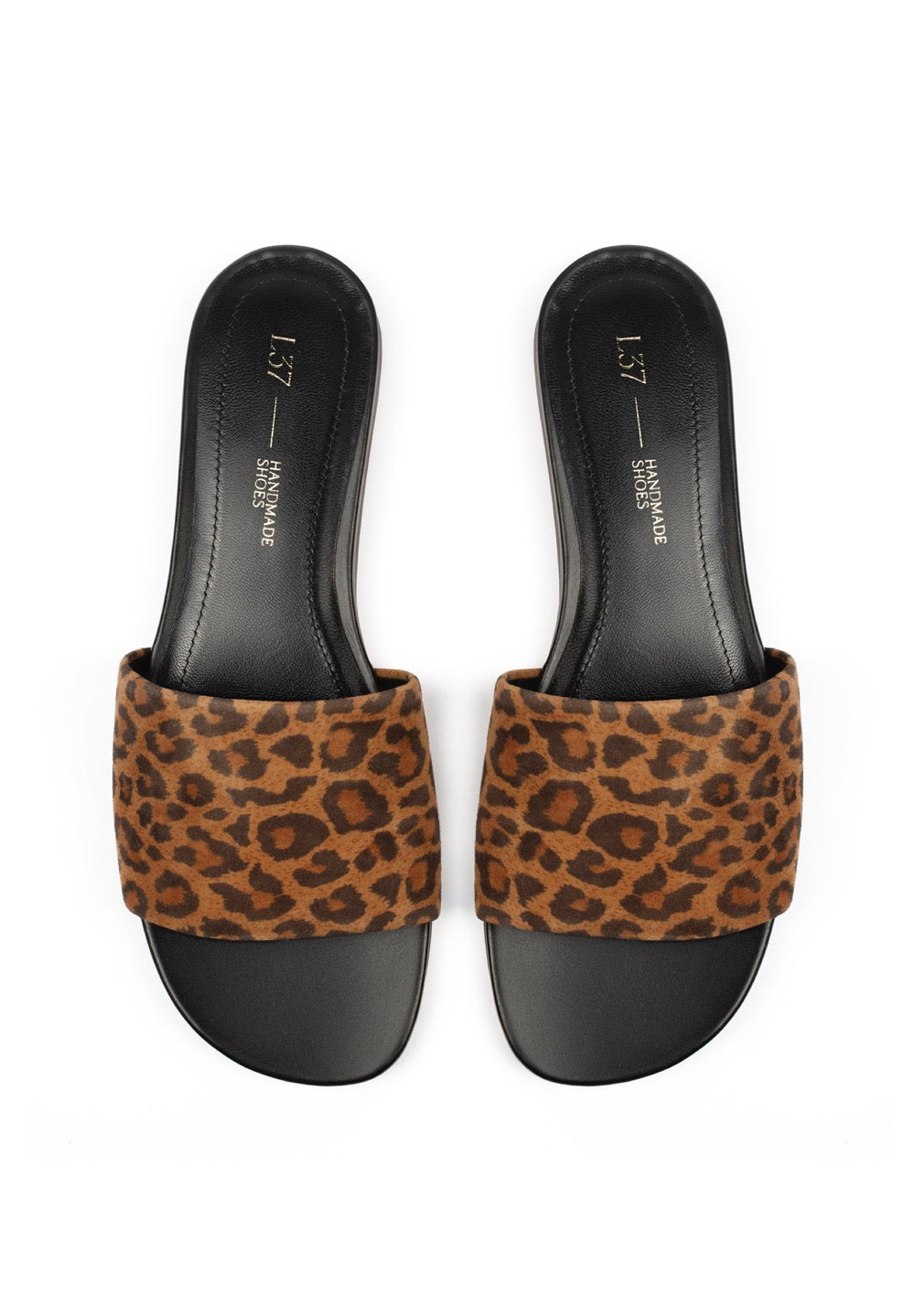 Mules Borneo - Lion