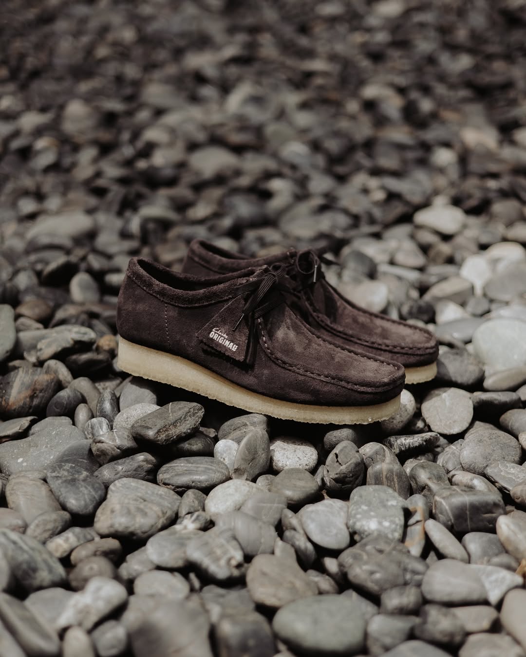 Wallabee - Brown Slate Suede - Femme