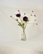 Vase Tubu - Transparent Glass