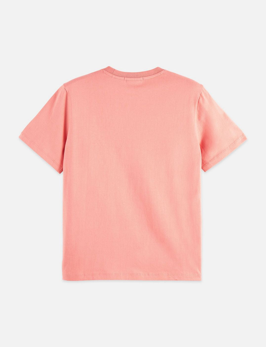 T-shirt Regular Fit With Chest Artwork - Canyon Clay