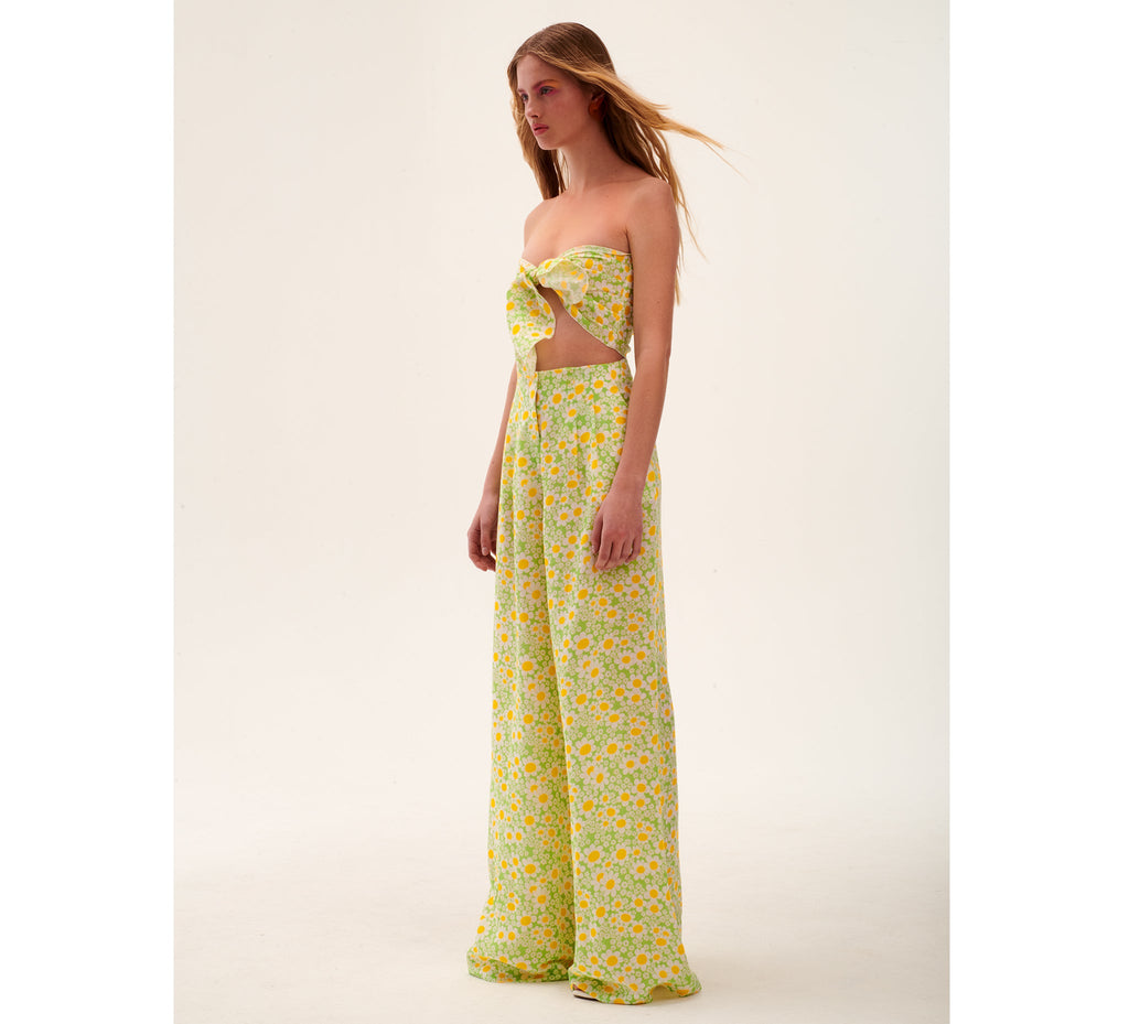 Conjunto Mona Verde