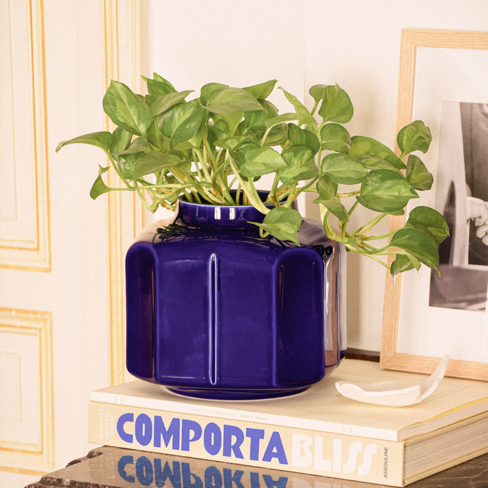 Vase Baixo - Indigo