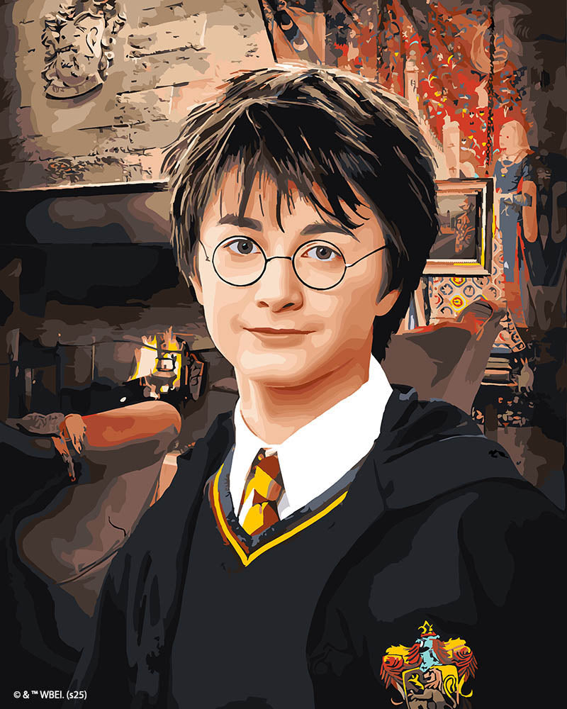 Pintura por números - Retrato de Harry Potter