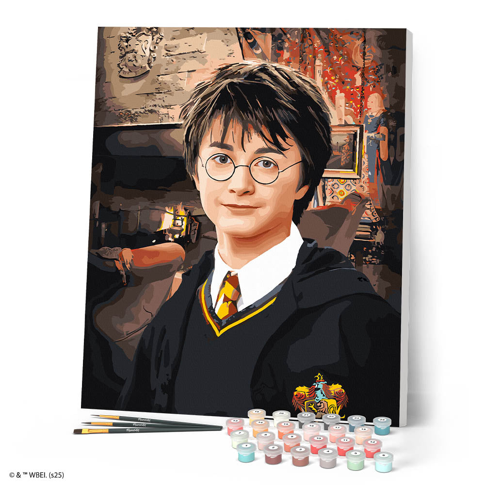 Pintura por números - Retrato de Harry Potter