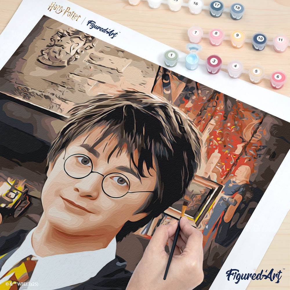 Pintura por números - Retrato de Harry Potter