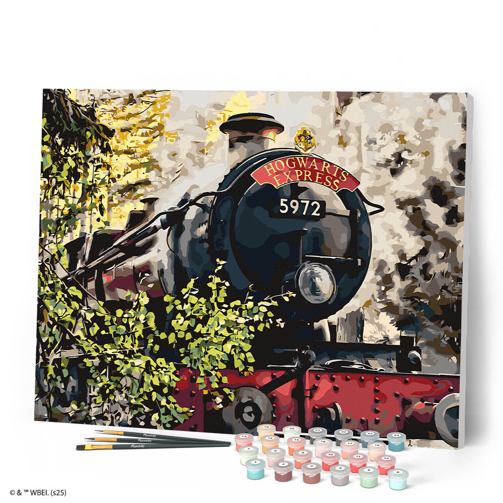 Paint By Numbers - Harry Potter - Hogwarts Express