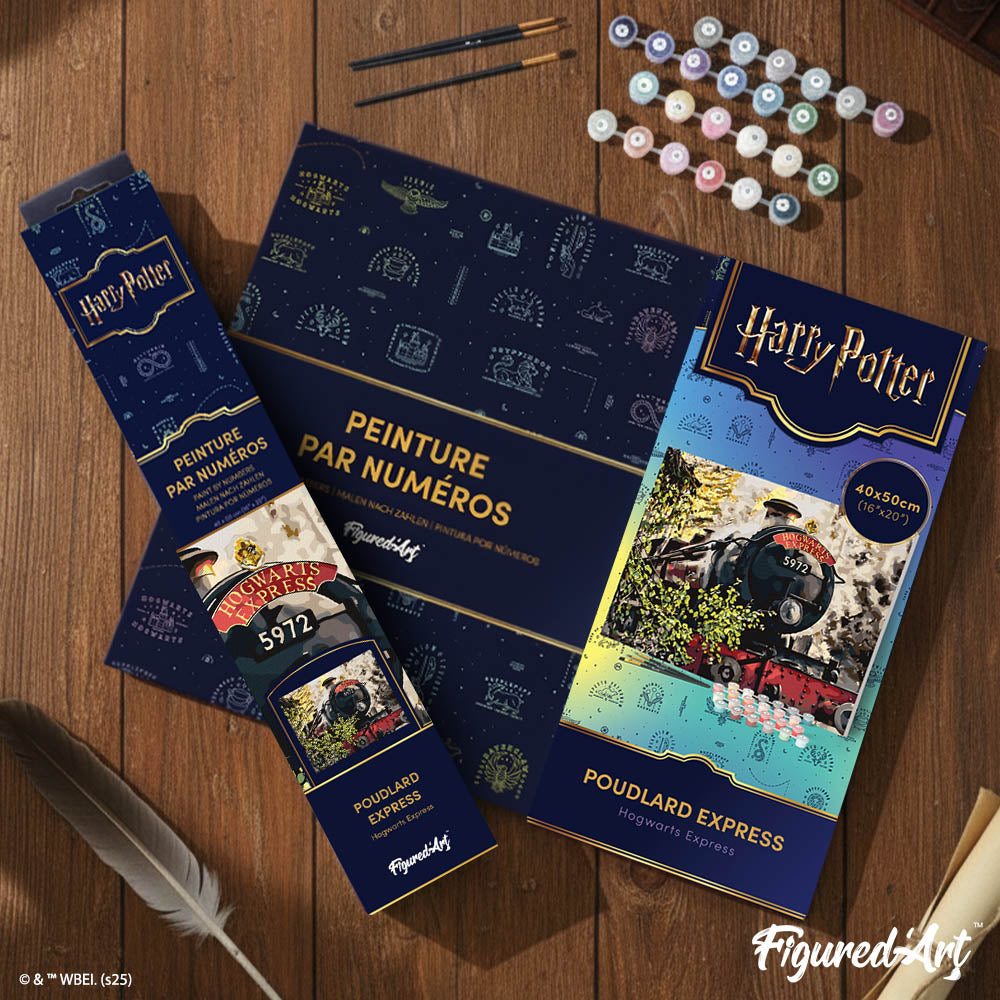 Paint By Numbers - Harry Potter - Hogwarts Express