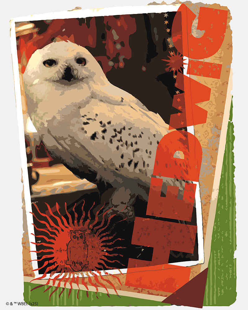 Pintura por números - Harry Potter - Mapa de Hedwig