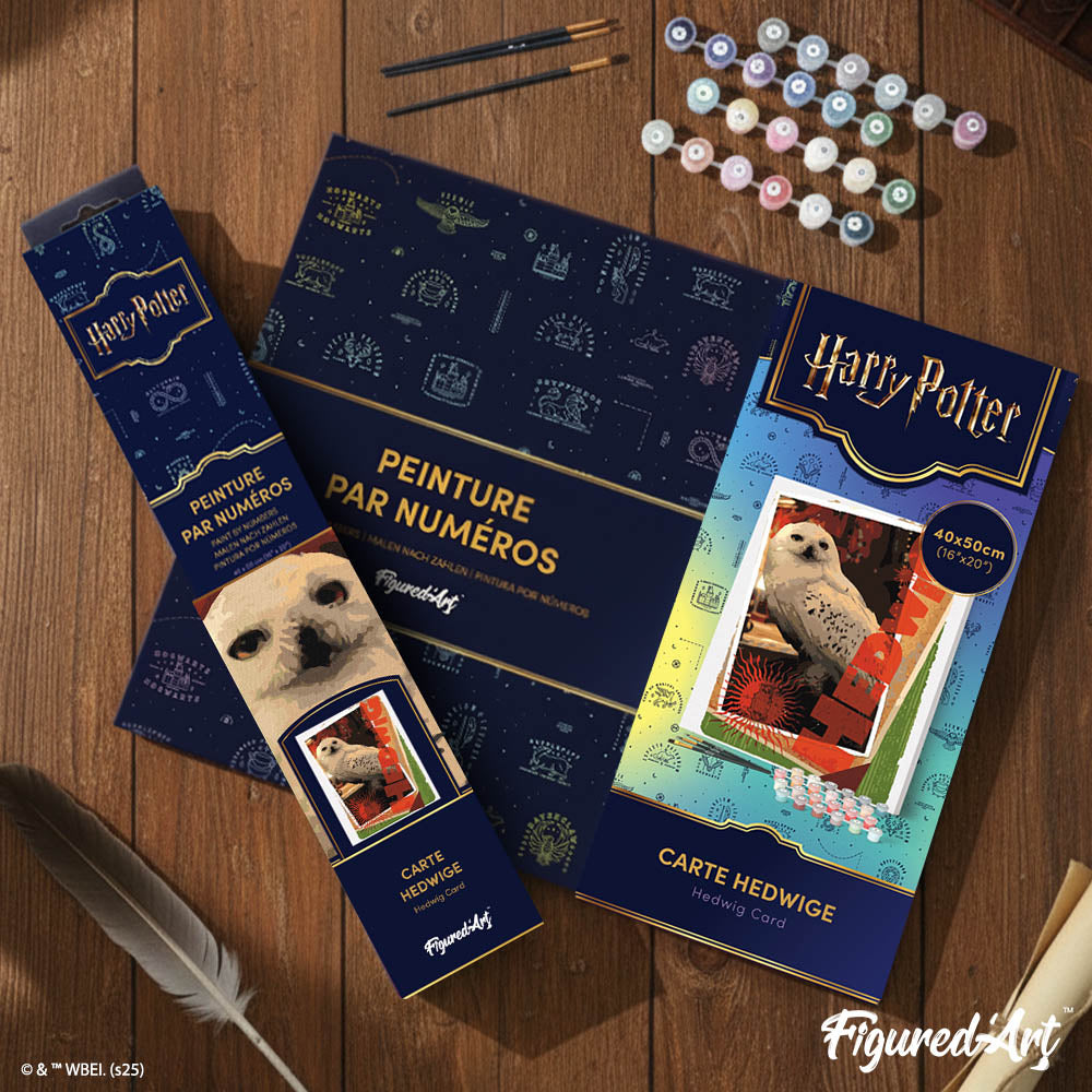 Pintura por números - Harry Potter - Mapa de Hedwig