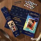 Pintura por números - Harry Potter - Mapa de Hedwig